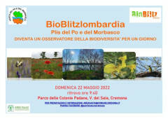 Cremona Domenica 22 maggio “BioBlitz” nel Parco del Po e del Morbasco
