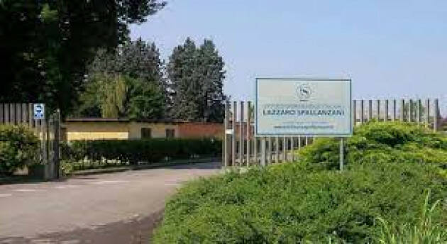Istituto Spallanzani Il 20 maggio si celebra la Giornata mondiale delle Api