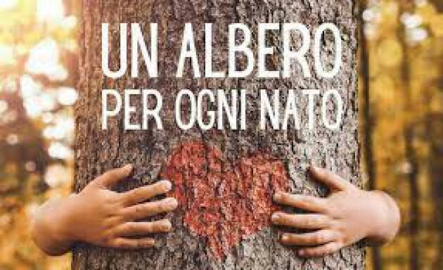 Crema  Un albero per ogni nato è obbligatorio piantarlo | M5S Cremasco