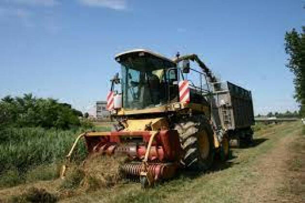 Verde, bene Regione su uso agricolo sfalci