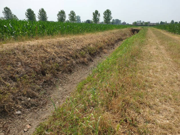 Coldiretti Cremona Caldo, emergenza siccità nelle campagne lombarde