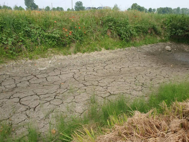 Emergenza siccità nelle campagne lombarde