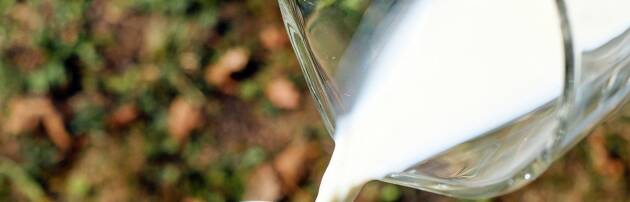 Giornata del  latte, in Lombardia 45% produzione italiana