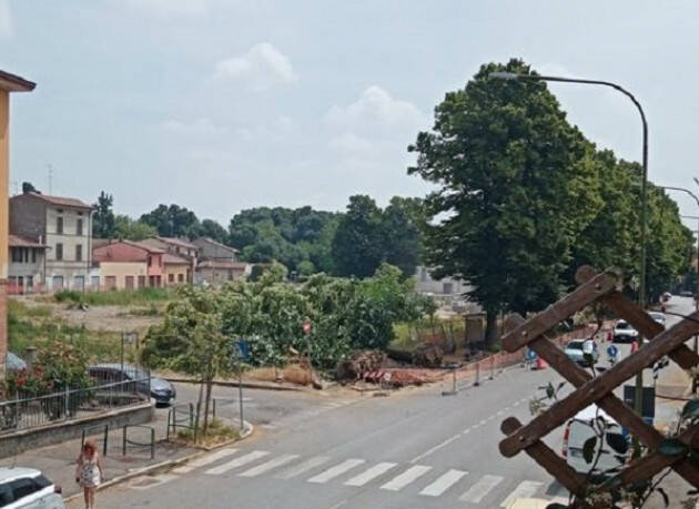 Cremona La gestione del verde pubblico così non va! Stati generali Clima..