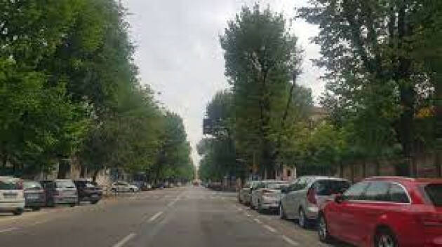 Il 9 e 10 giugno intervento antiparassitario su alcune piante a Cremona