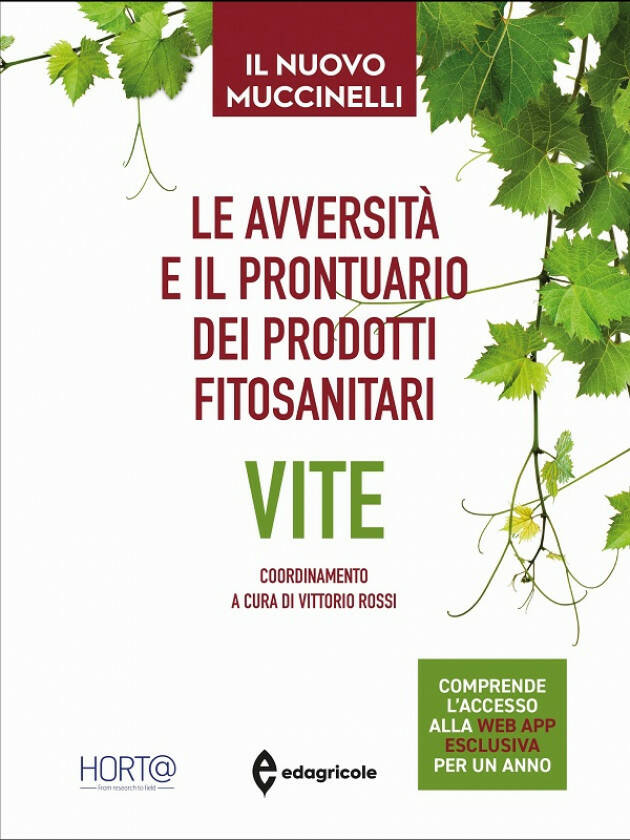 Edagricole LE AVVERSITÀ E IL PRONTUARIO DEI PRODOTTI FITOSANITARI  VITE