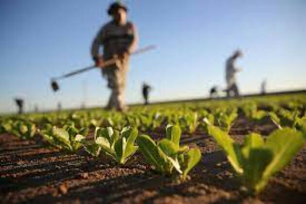 Ue, il futuro dell’agricoltura  nel meeting di Coldiretti Giovani