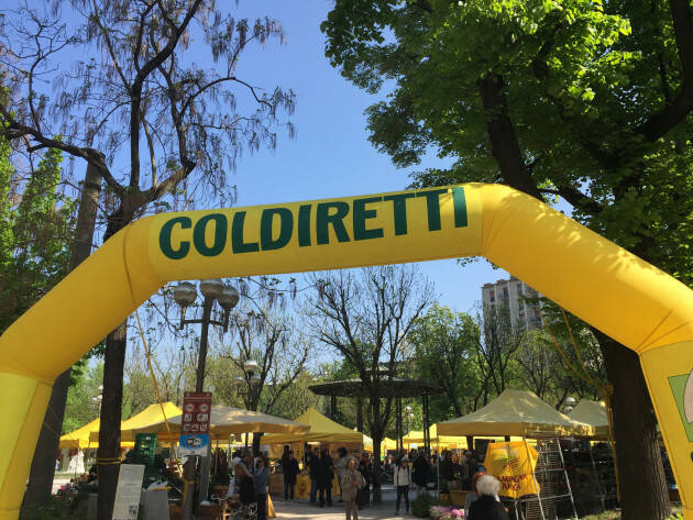 Cremona, street food contadino nel cuore della città