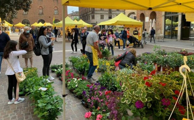  Coldiretti Campagna Amica domani in piazza Stradivari