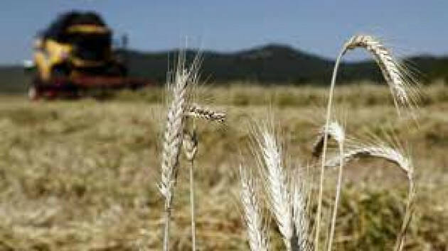 Ucraina, fino a -30% grano in Lombardia