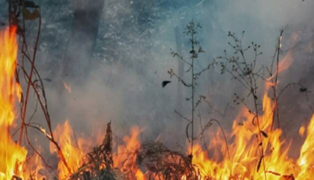 La Commissione europea predispone la flotta antincendio per la stagione 2022