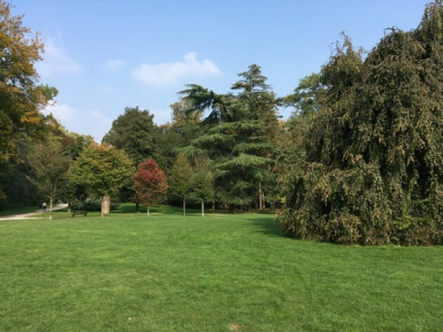 Tenta di stuprare una donna nel Parco di Monza