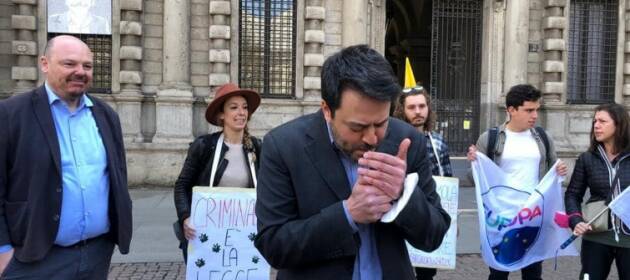 ANNUNCIATI IN CONSIGLIO COMUNALE A MILANO GLI STATI GENERALI SULLA CANNABIS