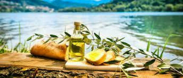 La cultura dell’olio extravergine nelle province di Bergamo e Brescia
