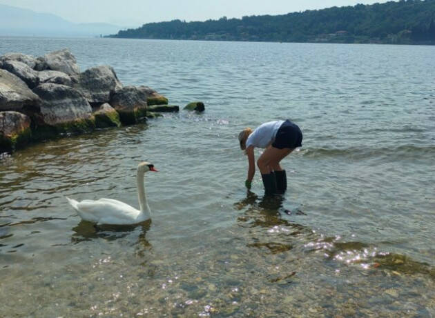 Goletta dei Laghi nel Garda: inquinati e fortemente inquinati 5 punti su 13 campionati