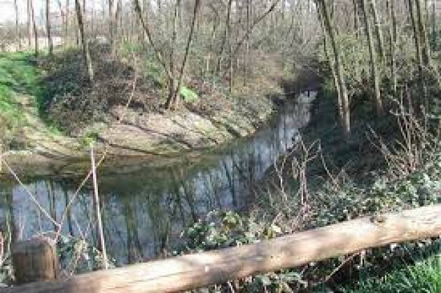 La siccità prosciuga i fontanili lombardi: a rischio coltivazioni e biodiversità