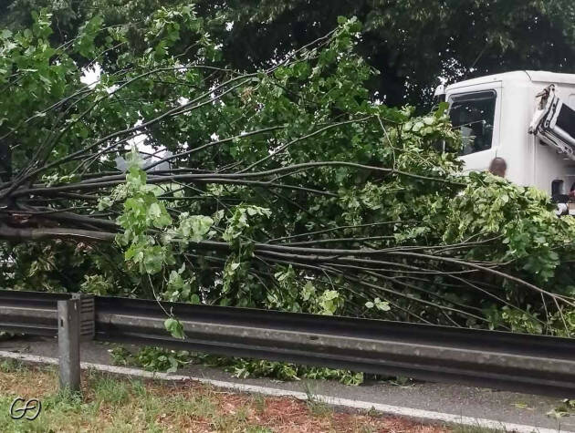 Cremona 4 luglio ’22  un temporale da paura Venti a 100km/h Tanti danni