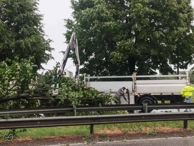 Cremona 4 luglio ’22  un temporale da paura Venti a 100km/h Tanti danni