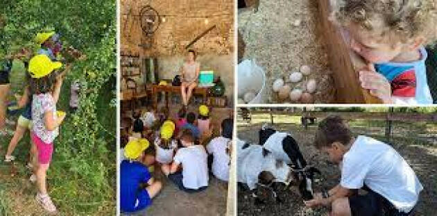 Luglio, avventura in fattoria didattica a Cremona