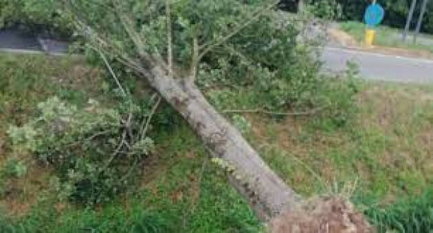 Danni da maltempo, 13 interventi di rimozione rami e alberi caduti in città, 16 pattuglie di Polizia Locale impegnate.