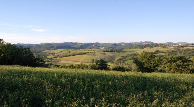 APERITIVO CON VISTA  NELLE TERRE DI SARIZZOLA 