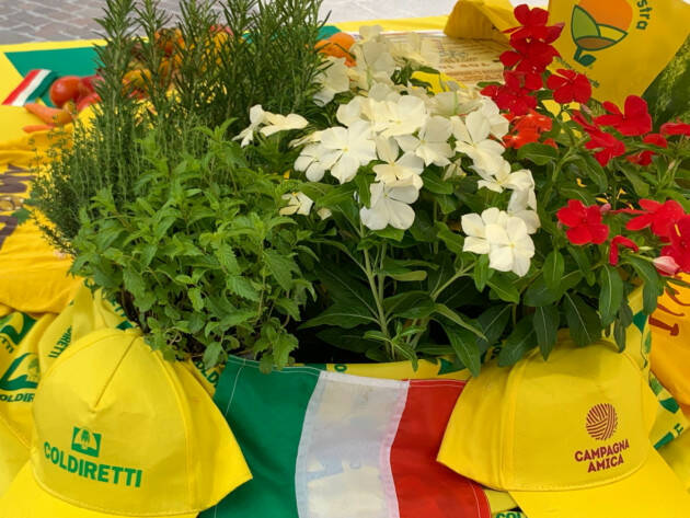 La spesa di luglio al Mercato di Campagna Amica a Cremona
