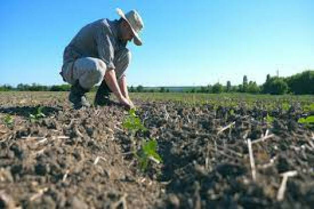 Siccità, colpite 44mila imprese agricole lombarde