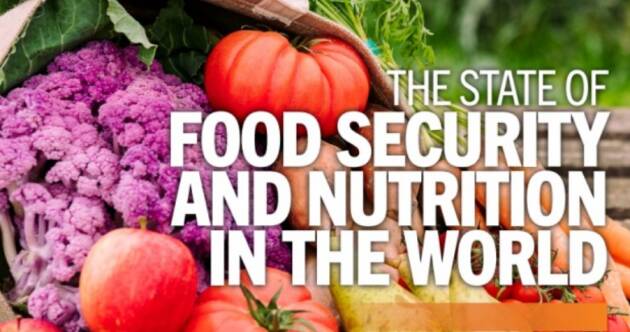 828 milioni di persone soffrono la fame