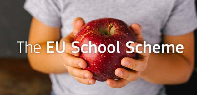 Dall’Ue 2,9 milioni di euro per le esigenze dei bambini ucraini nelle scuole europee