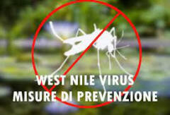 Piacenza: Prevenzione dell'infezione da West Nile virus, gli interventi da attuare.