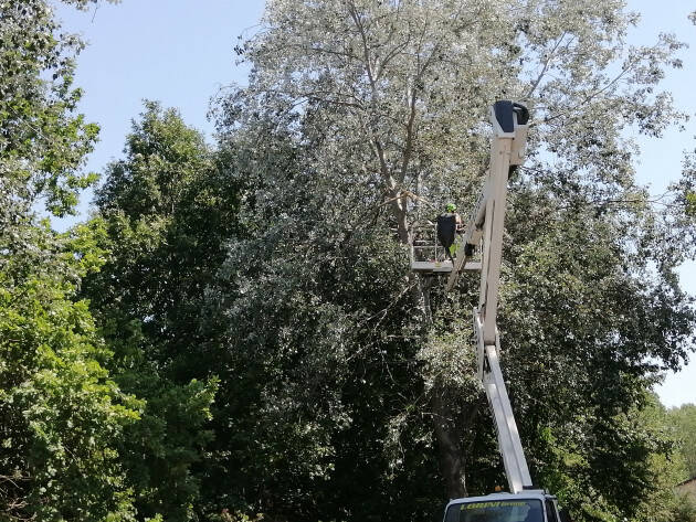 Primo bilancio dei danni e degli interventi a seguito del nubifragio del 4 luglio Cremona