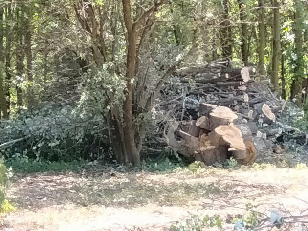 Primo bilancio dei danni e degli interventi a seguito del nubifragio del 4 luglio Cremona