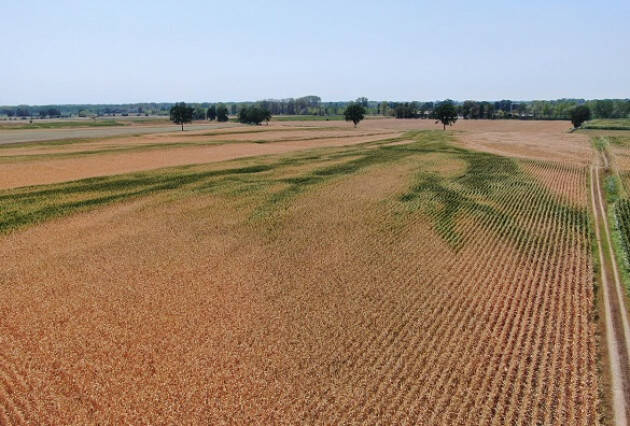 Siccità, Coldiretti Cremona: senz’acqua campagne allo stremo