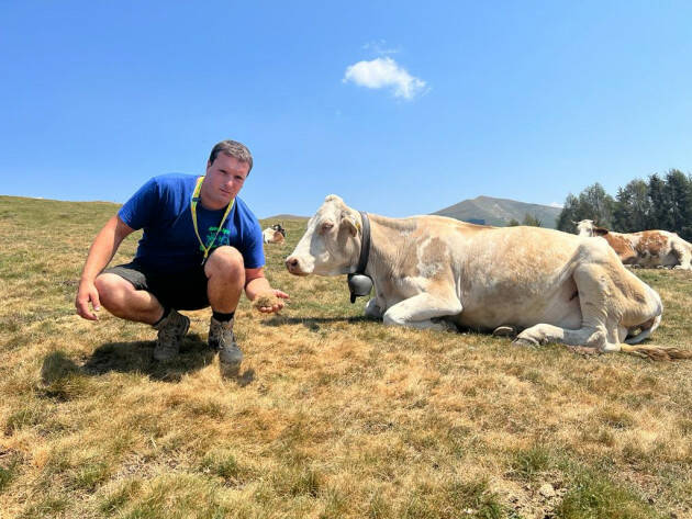 Siccità, la grande sete investe gli alpeggi: