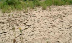 Siccità, senza acqua dal Lago d’Idro  è SOS per 7mila aziende agricole