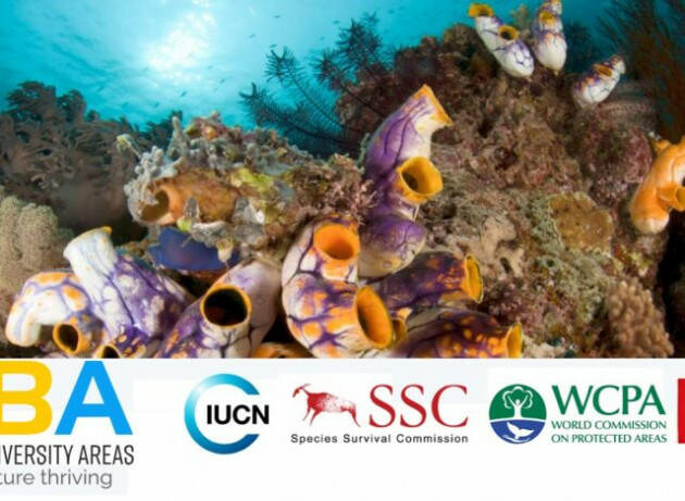 La Cina si prepara a espandere le aree protette marine e terrestri