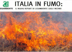 Italia in fumo: in 14 anni bruciati 723.924 ettari