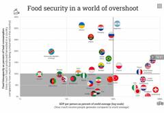 Dal sovrasfruttamento alla guerra in Ucraina: il cibo al centro del nostro deficit ecologico