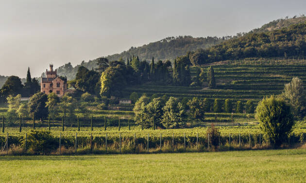 DIECI GIORNI DI ANTICIPO PER LA VENDEMMIA di CASTELLO BONOMI