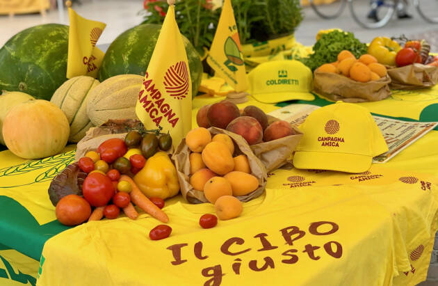 Agosto con Campagna Amica: una spesa ricca di vitamine e tanto gusto 