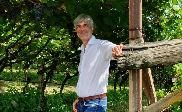 Il filo rosso che unisce i terroir dei vini più pregiati al mondo