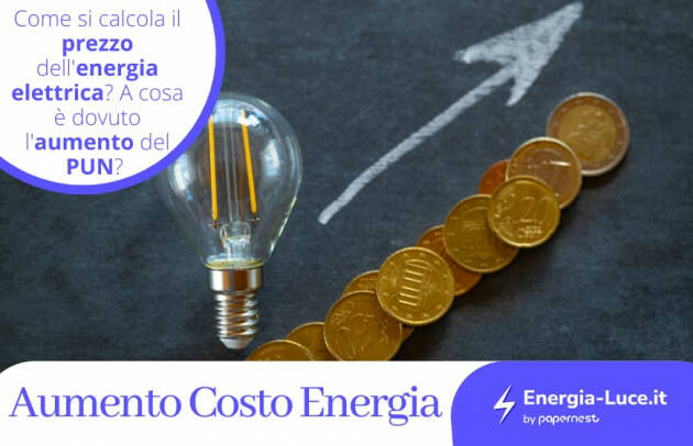 Aumento del costo dell’Energia Elettrica: come reagire?