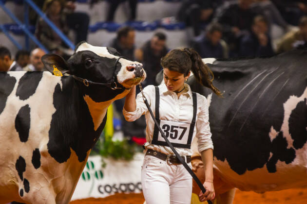 CREMONA FIERE ZOOTECNICHE INTERNAZIONALI: AL CENTRO I GIOVANI