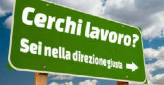 Attive 239 offerte lavoro CPI 30/08/2022 Cremona,Crema,Soresina e Casal.ggiore