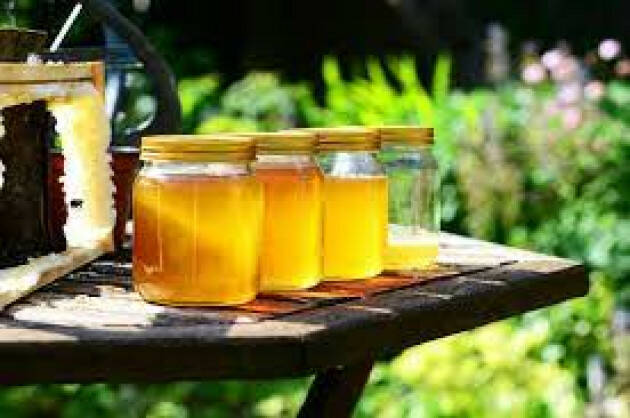 Lombardia: -25% miele per caldo e siccità