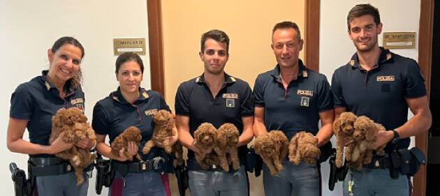 Traffico di animali, denunciati due ventenni