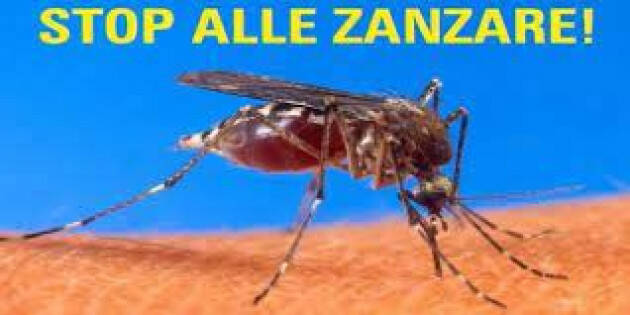 CONTENIMENTO DELLE ZANZARE, PROSEGUONO GLI INTERVENTI A CREMONA