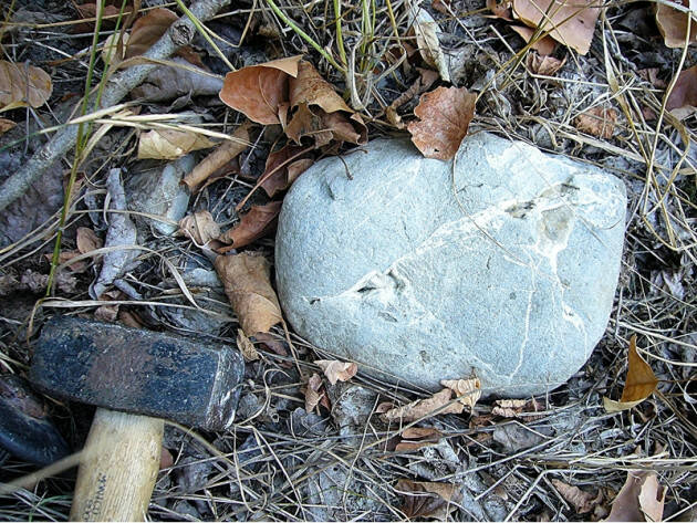 Calyx GEO-TREKKING ALLA RICERCA DELLE SEPTARIE