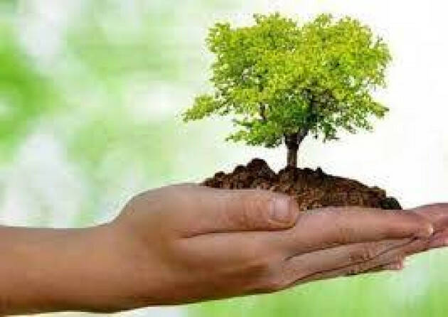 Diamo radici al futuro – Festa dell’albero e della natura