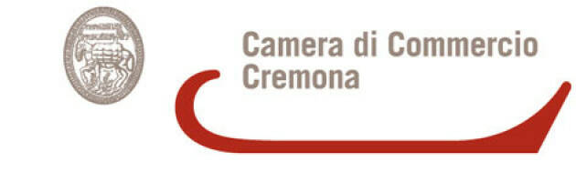 INIZIATIVE PER LA DIGITALIZZAZIONE DELLE IMPRESE CREMONESI